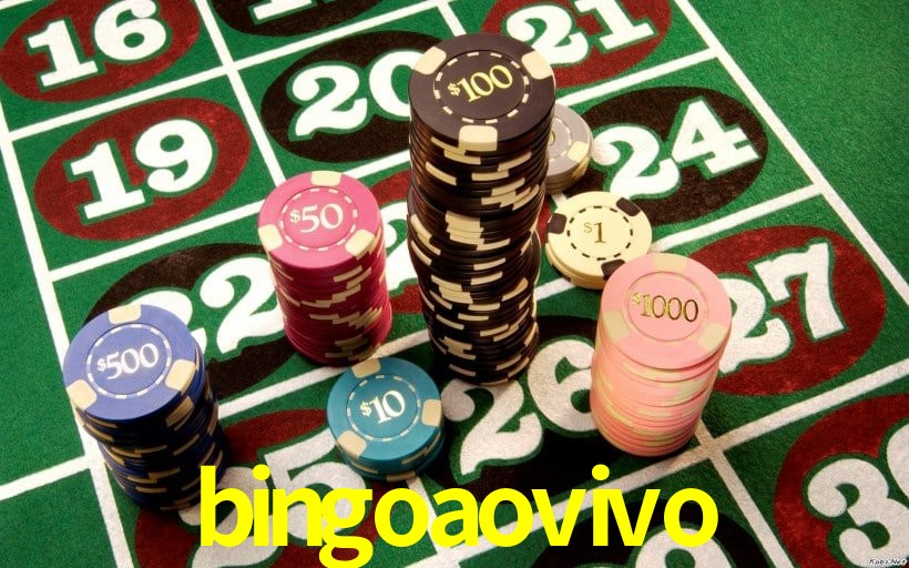 Experiência VIP bingoaovivo