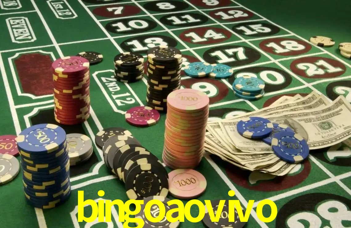 Experiência VIP bingoaovivo