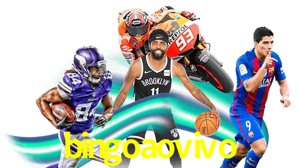bingoaovivo